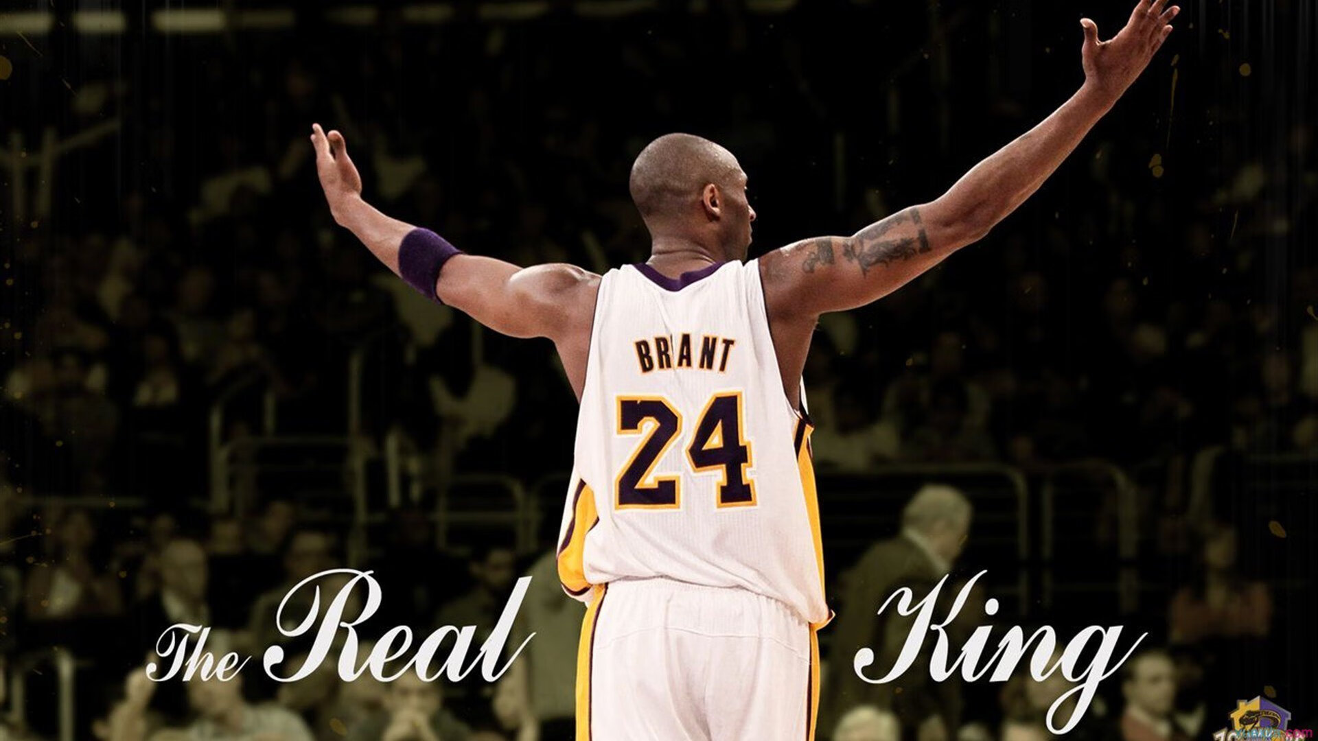 《王者荣耀》跨境战队世界巡回赛正式启动,探索电竞新边界,王者荣耀境外赛区